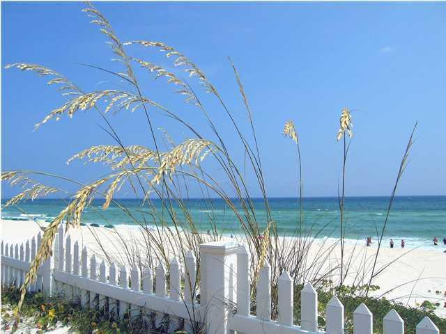 325 Water Oaks Loop Santa Rosa Beach, FL 32459 - Photo 24 of 32 beach front with white fence