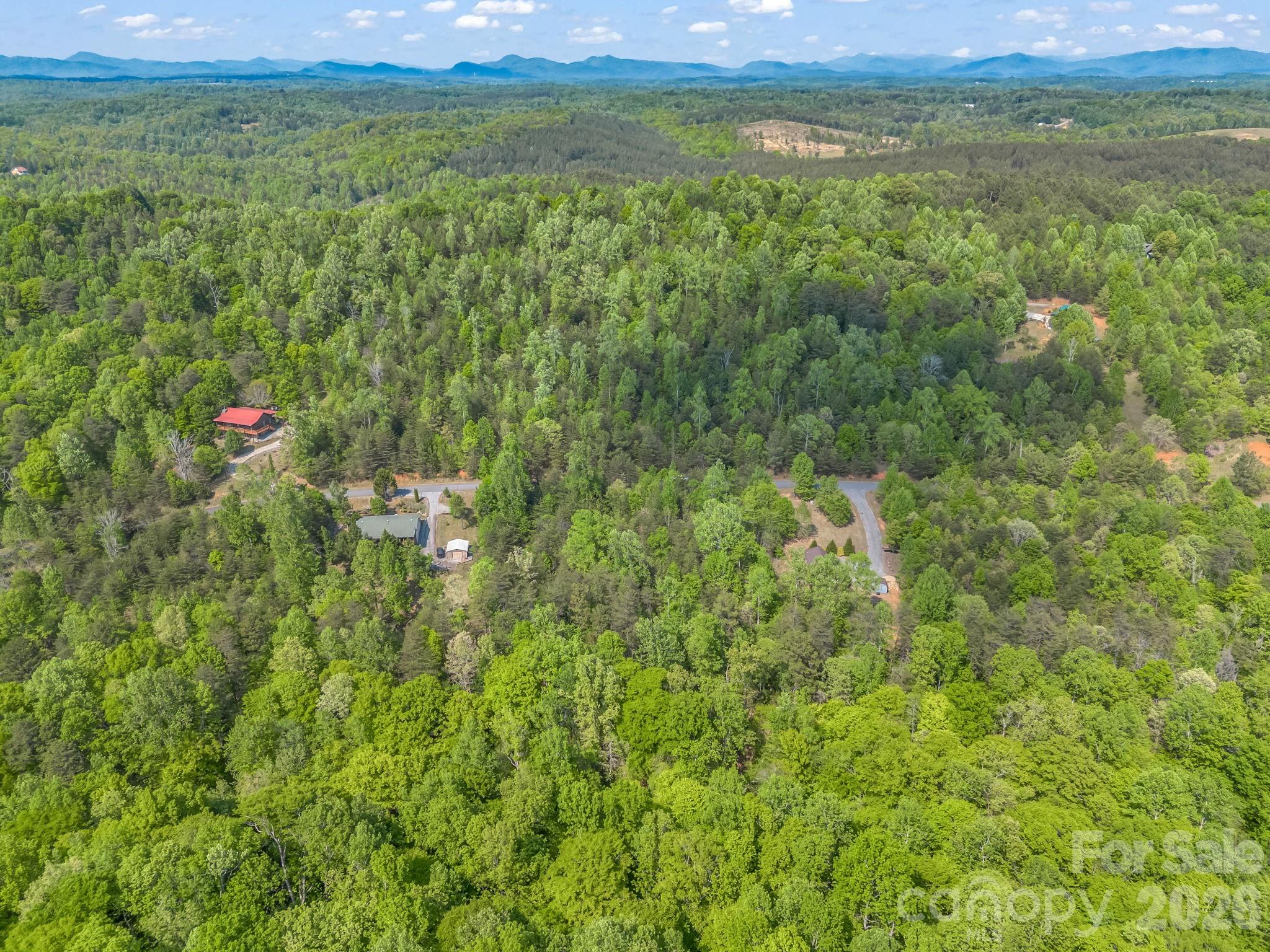 0 Cross Creek Drive, Unit 62 Rutherfordton, NC 28139 - Photo 4 of 5 a view of a big yard with lots of bushes