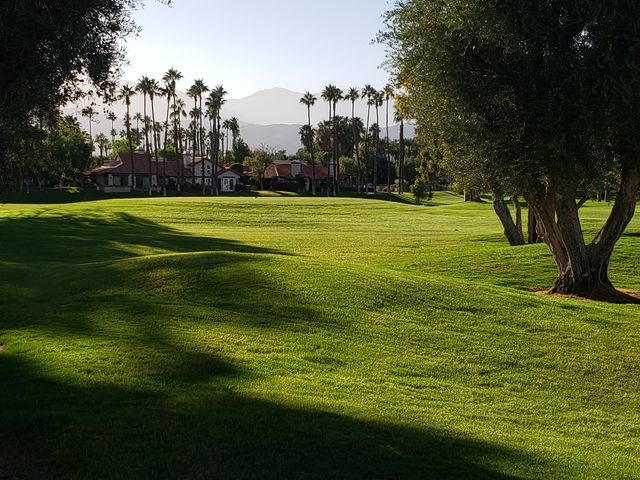 a view of a park with large trees