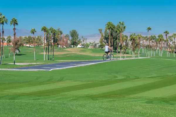 a view of a golf course