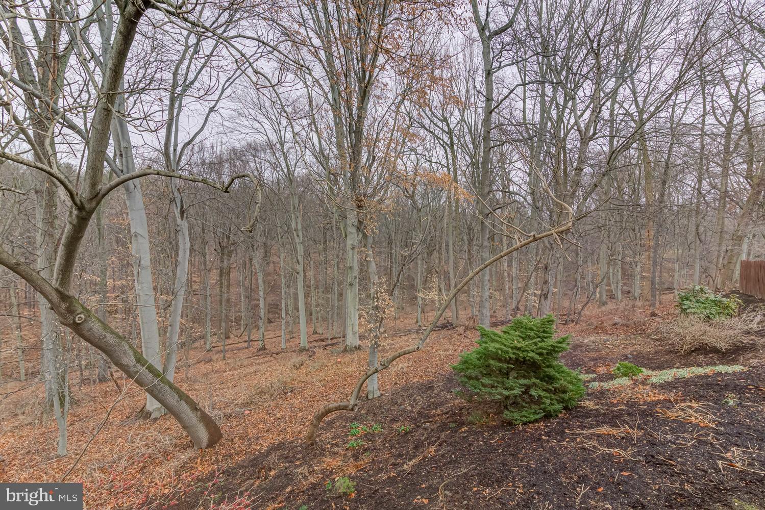 360 High Ridge Road Chadds Ford, PA 19317 - Photo 43 of 47 Gallery Image 43