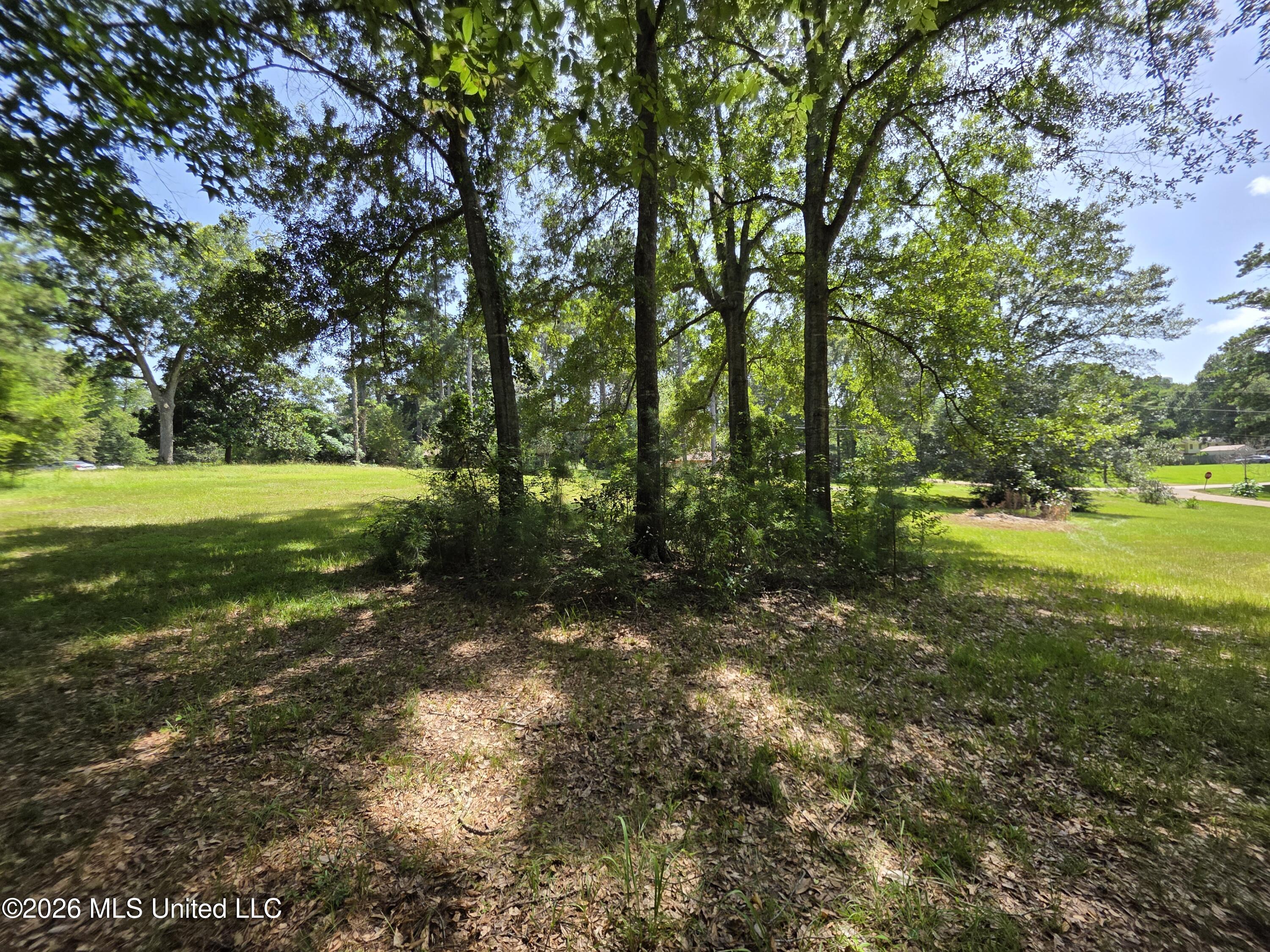 1041 3rd Street Wesson, MS 39191 - Photo 14 of 21 36602
