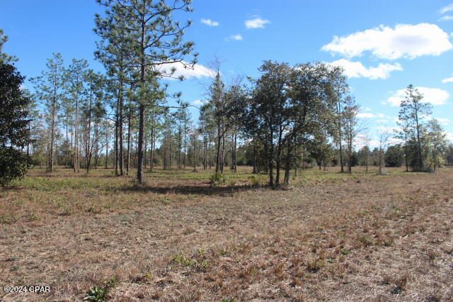 5015 Northwest County Road 274 Altha, FL 32421 - Photo 6 of 15