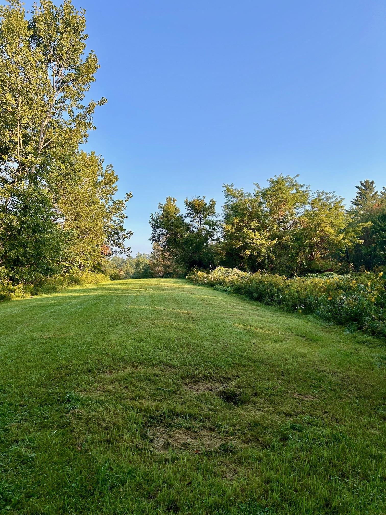 777 Butternut Gutter Arlington, VT 05250 - Photo 12 of 25