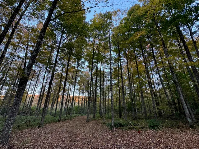 $165,000 | 777 Butternut Gutter, Arlington, VT 05250