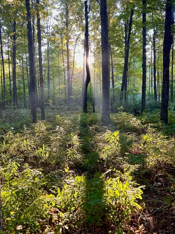 $165,000 | 777 Butternut Gutter, Arlington, VT 05250