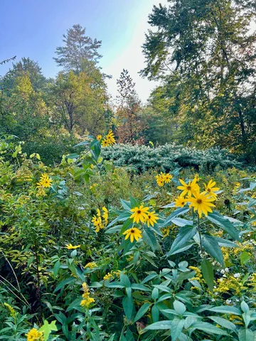 $165,000 | 777 Butternut Gutter, Arlington, VT 05250