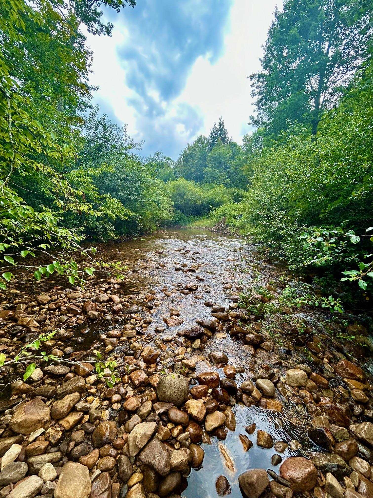 777 Butternut Gutter Arlington, VT 05250 - Photo 17 of 25