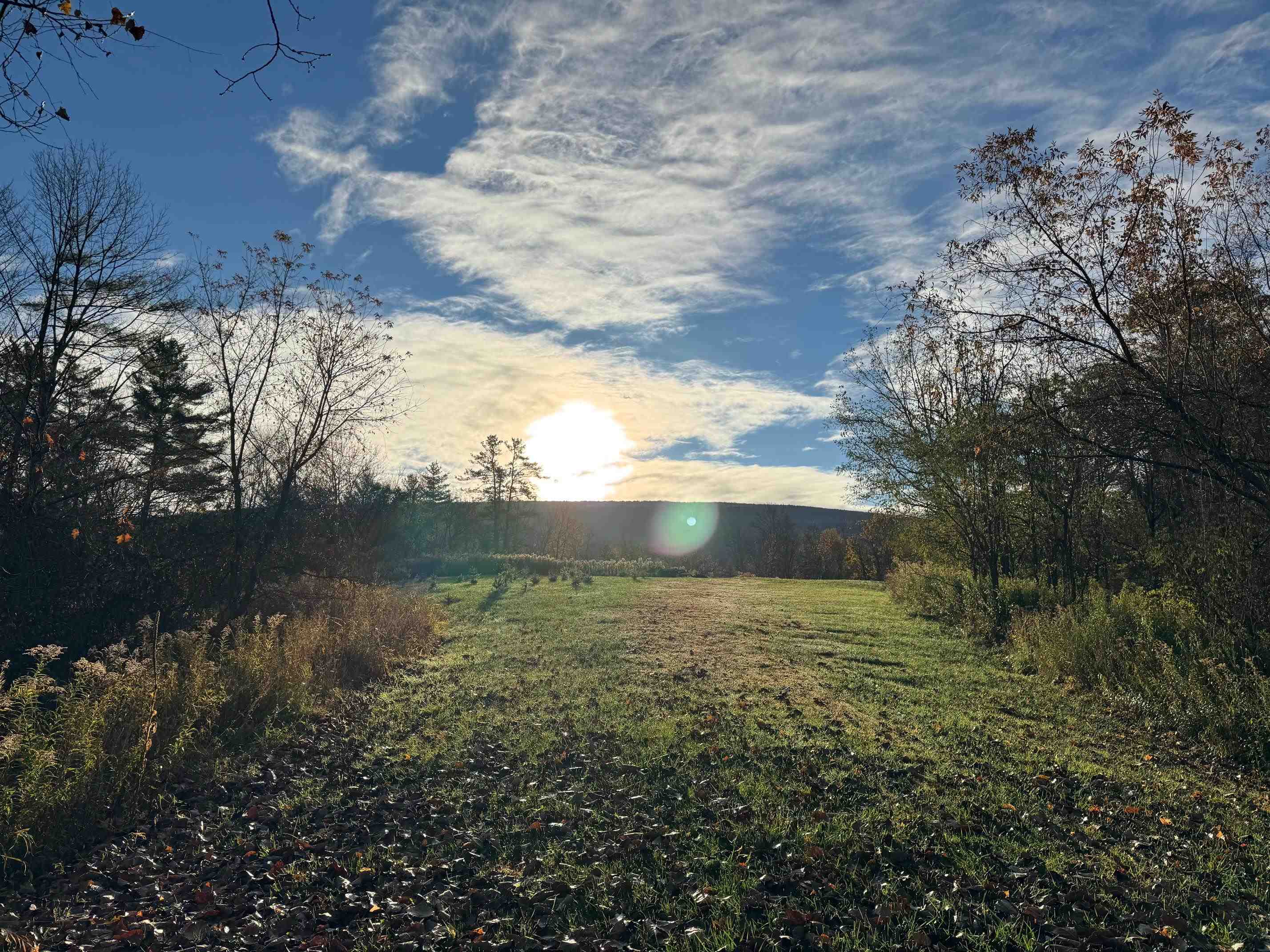 777 Butternut Gutter Arlington, VT 05250 - Photo 23 of 25