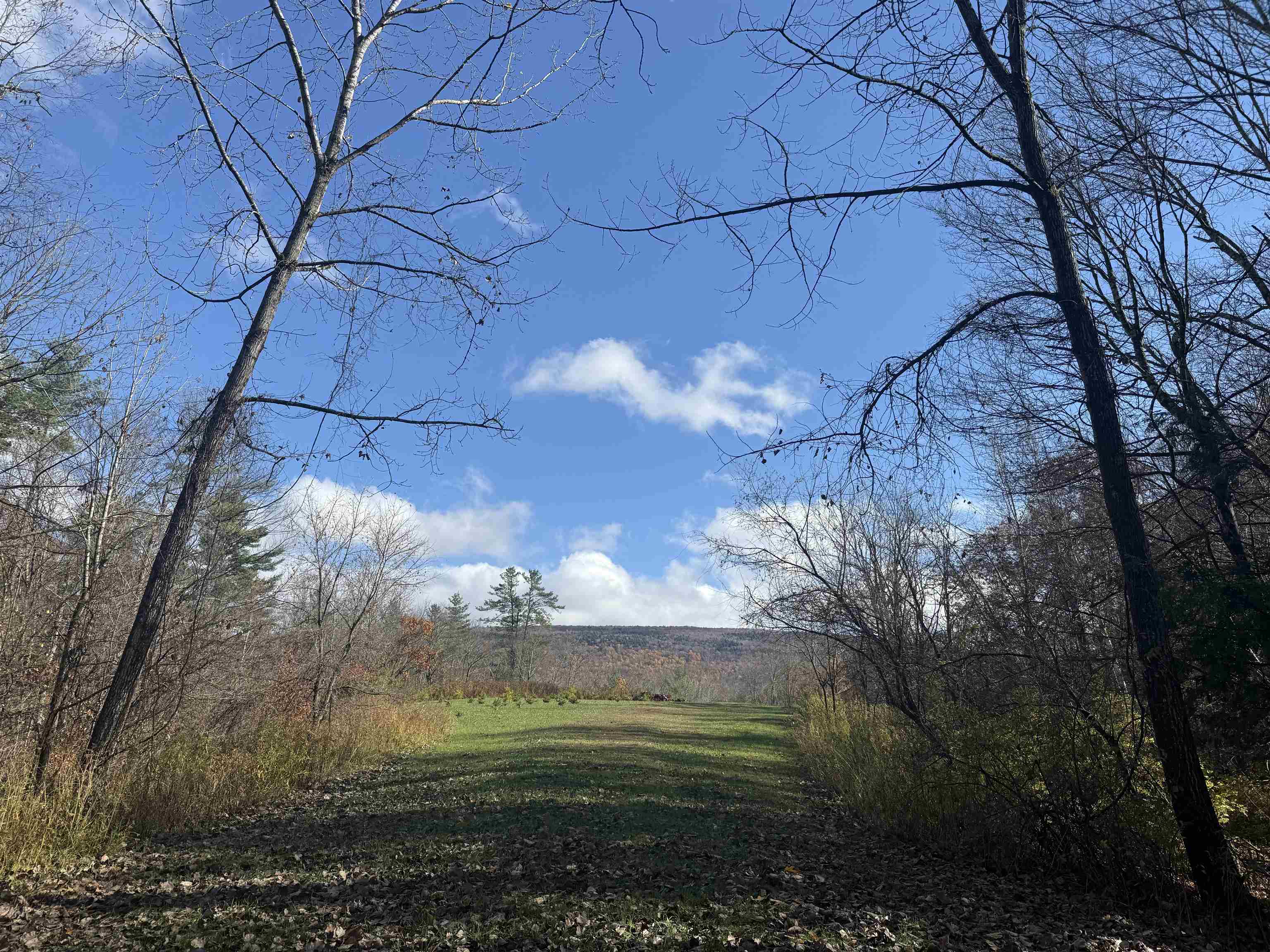 777 Butternut Gutter Arlington, VT 05250 - Photo 3 of 25