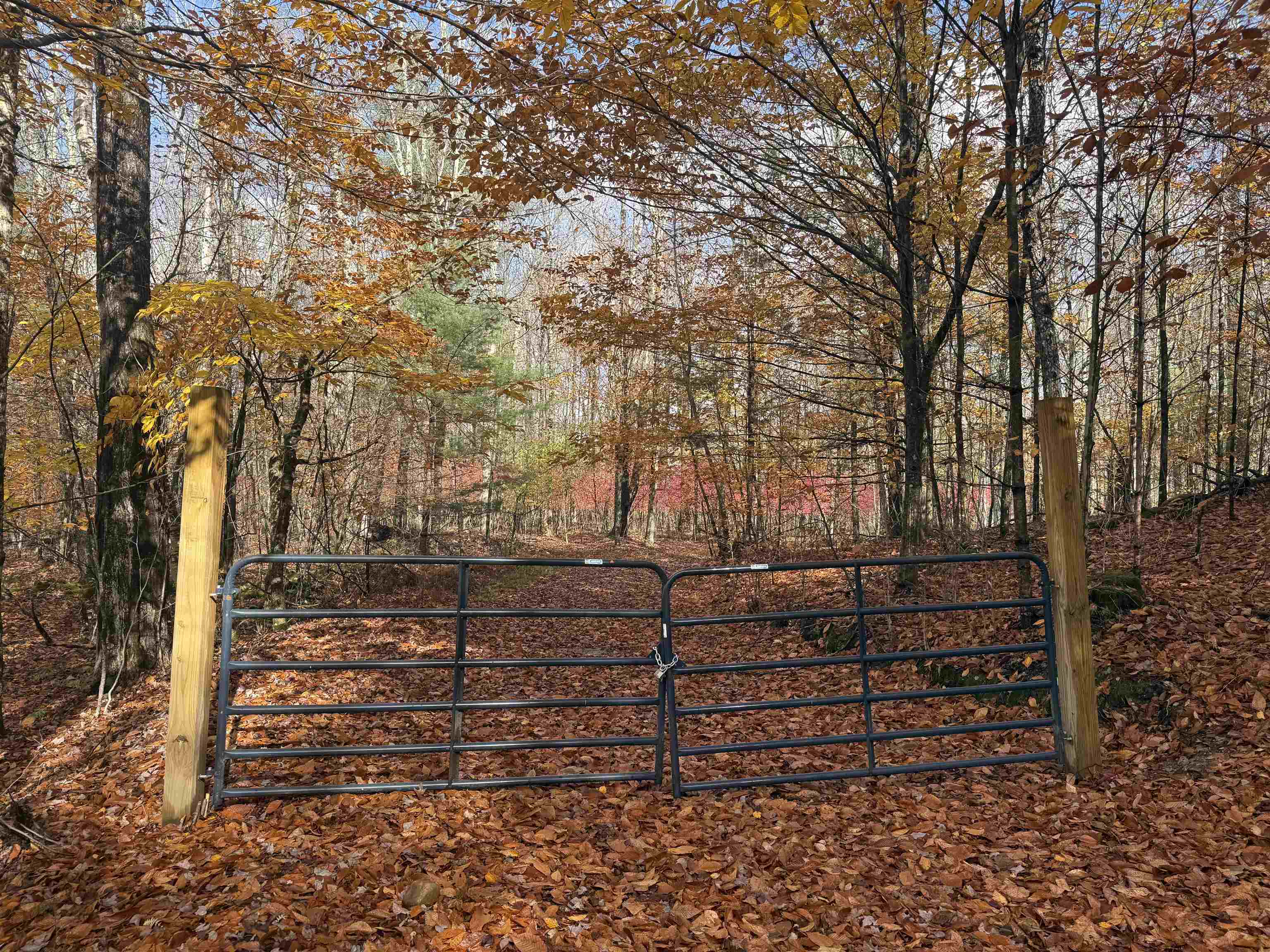 777 Butternut Gutter Arlington, VT 05250 - Photo 6 of 25