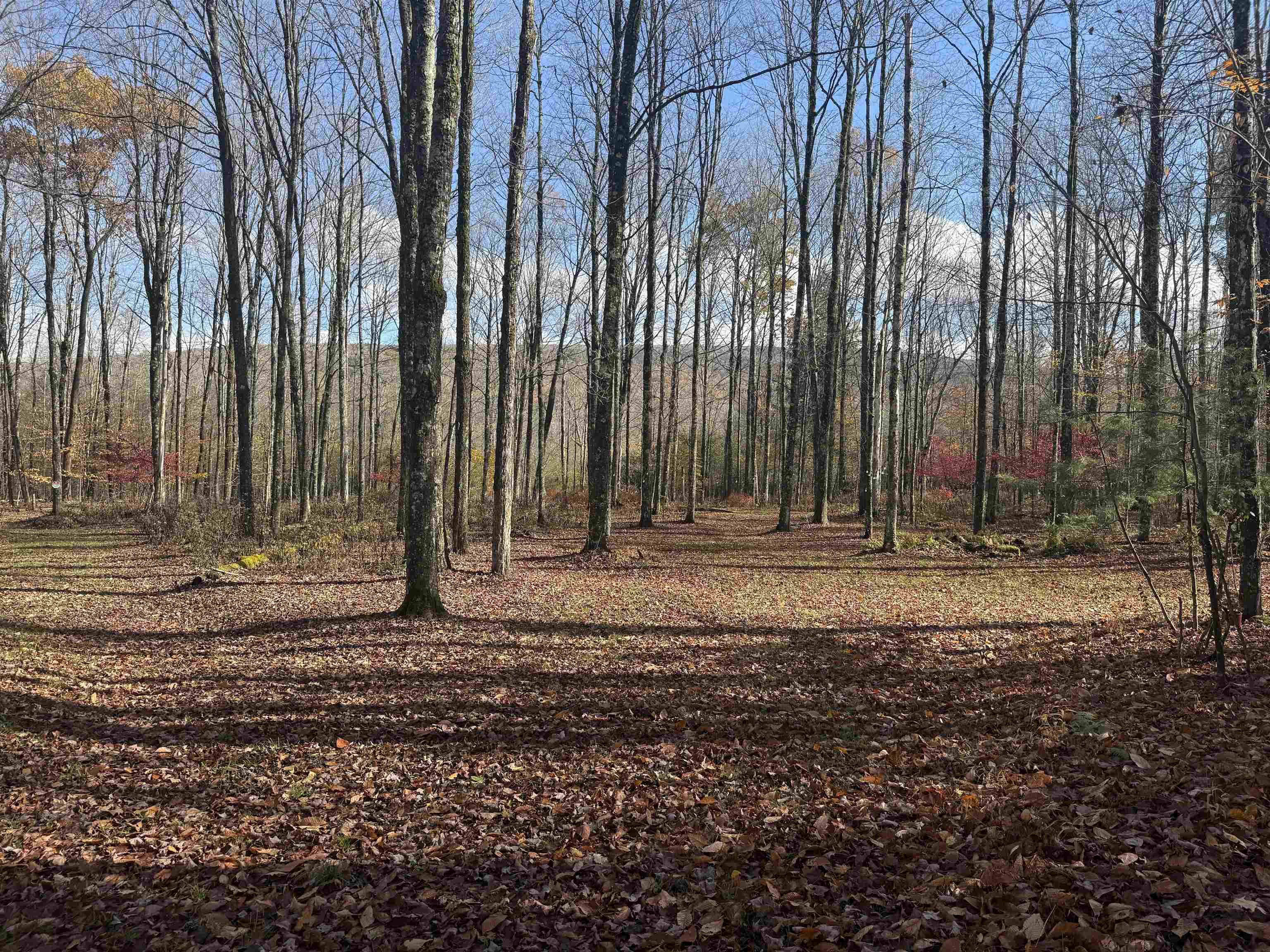 777 Butternut Gutter Arlington, VT 05250 - Photo 7 of 25