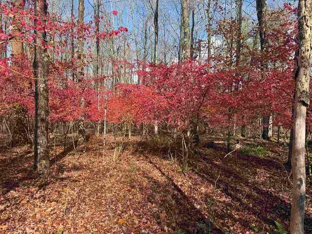 $165,000 | 777 Butternut Gutter, Arlington, VT 05250