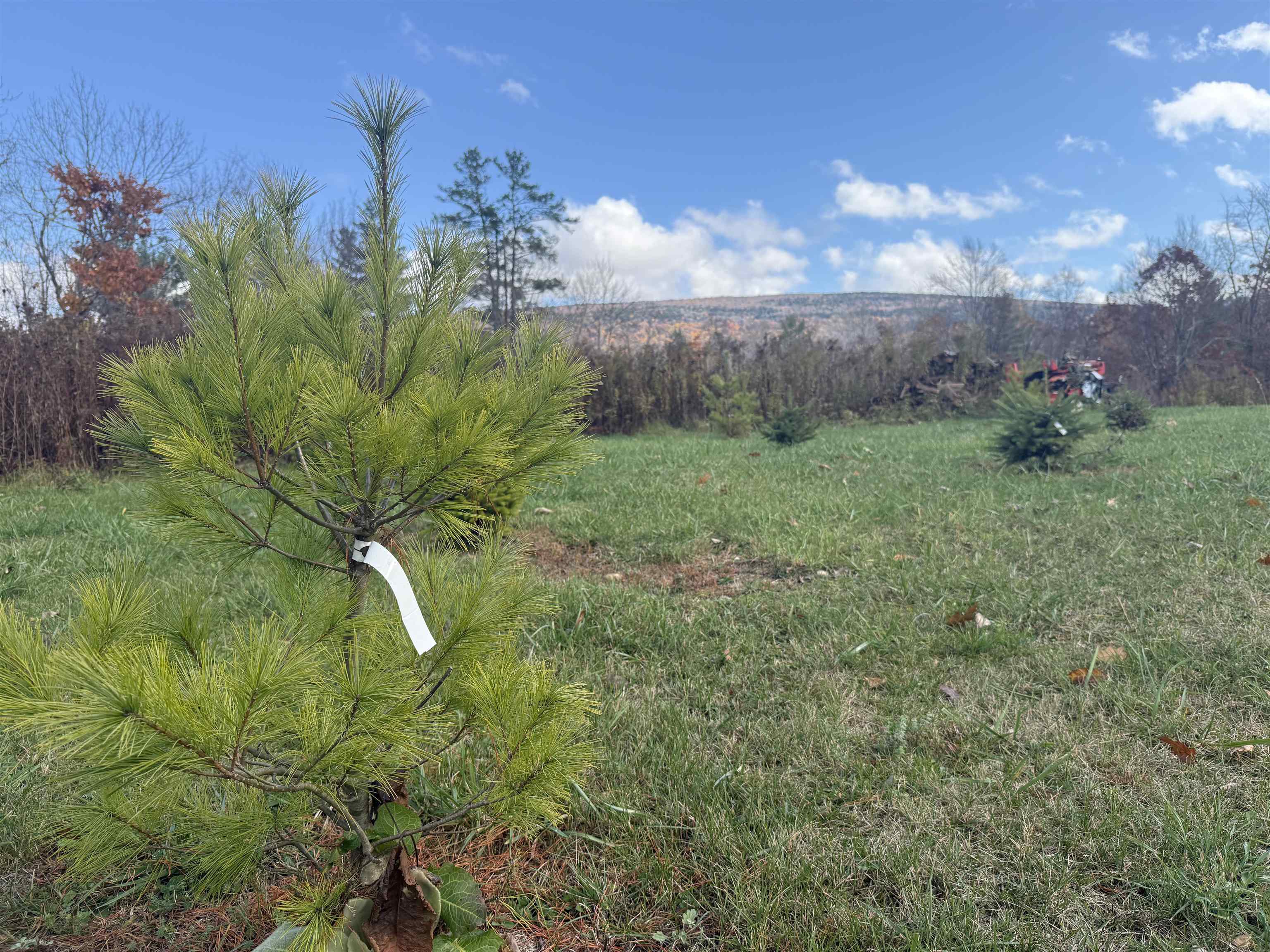 777 Butternut Gutter Arlington, VT 05250 - Photo 9 of 25