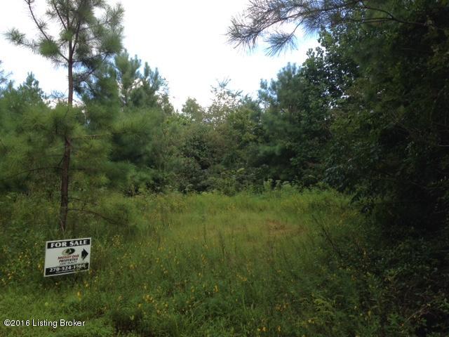 0 Duvall Road Caneyville, KY 42721 - Photo 3 of 5 $17,000 down / $600 month
