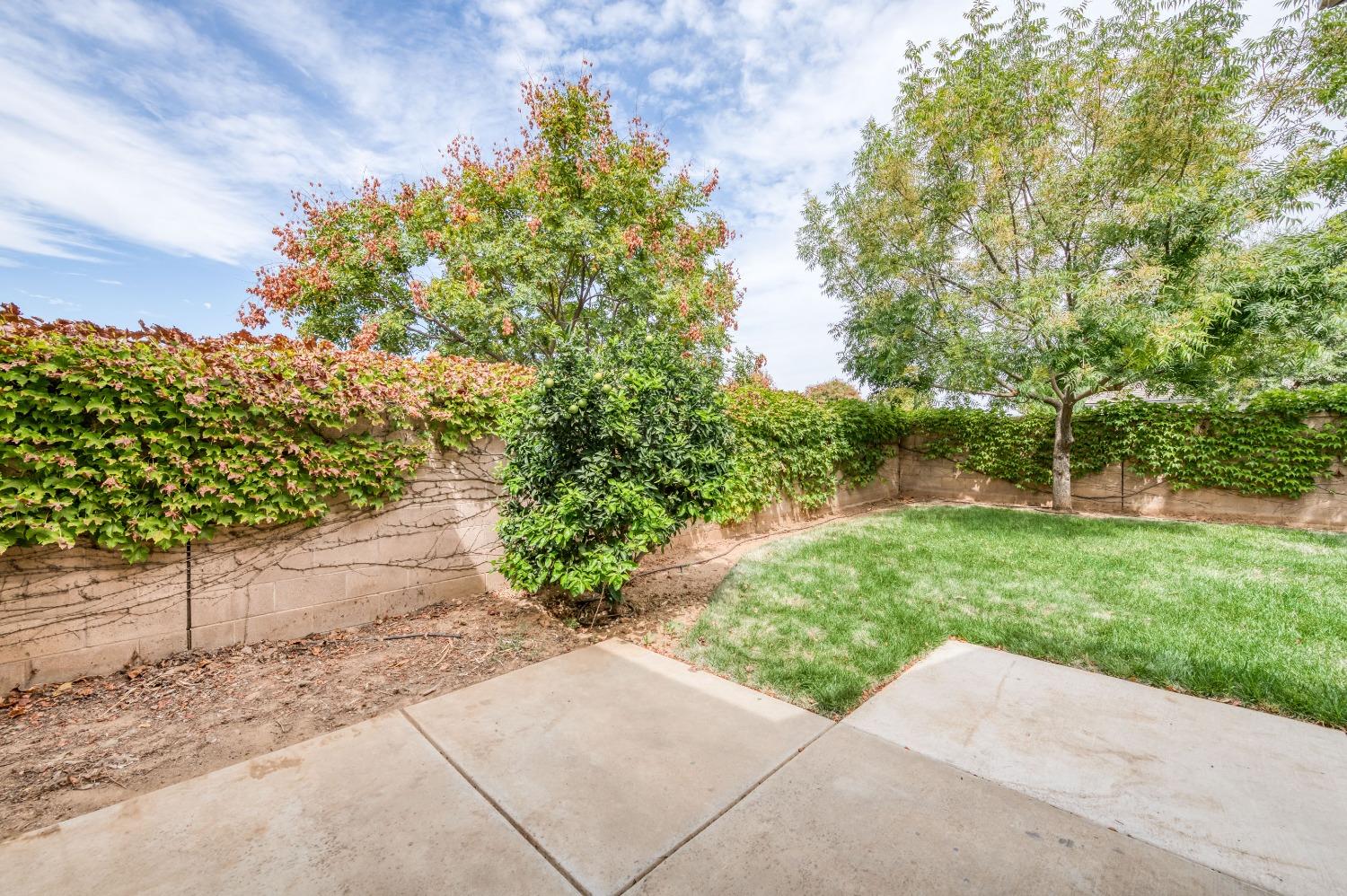 1697 North Connery Lane Clovis, CA 93619 - Photo 27 of 56 a view of backyard with green space