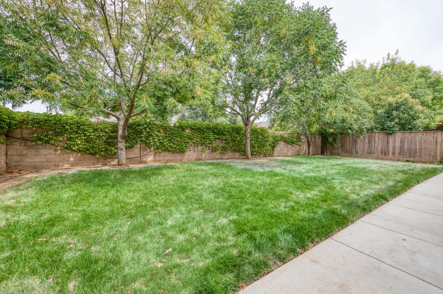 1697 North Connery Lane Clovis, CA 93619 - Photo 29 of 56 a view of a park with large trees