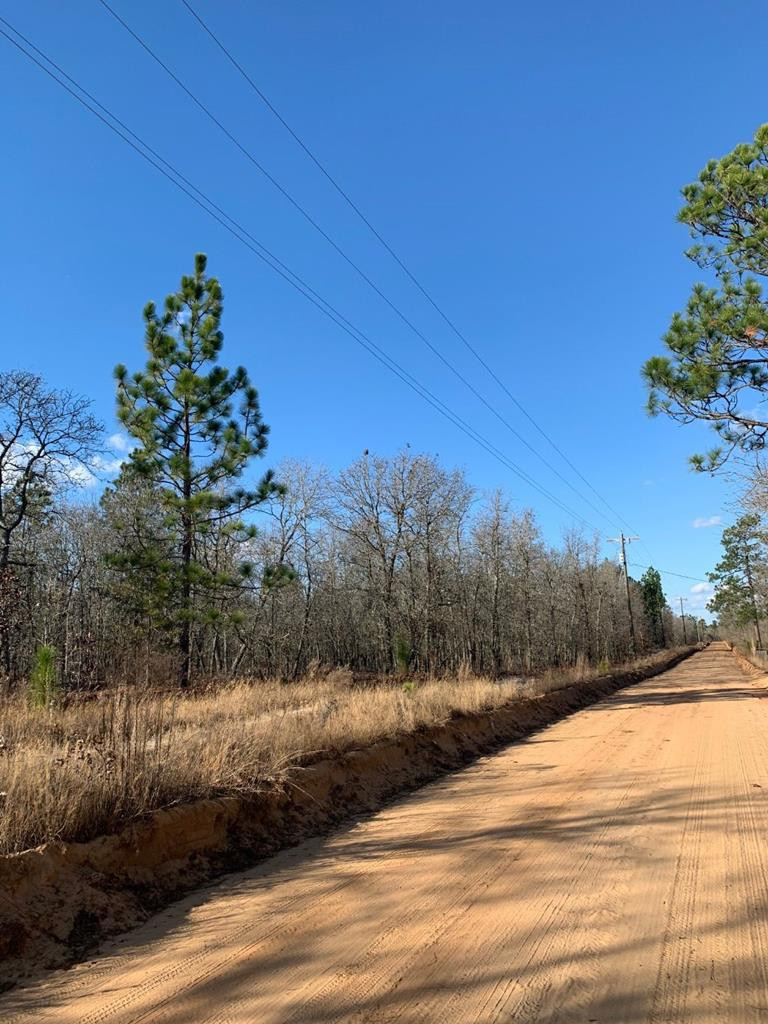 Lot #1 Pearl Bonnett Road Windsor, SC 29856 - Photo 1 of 1