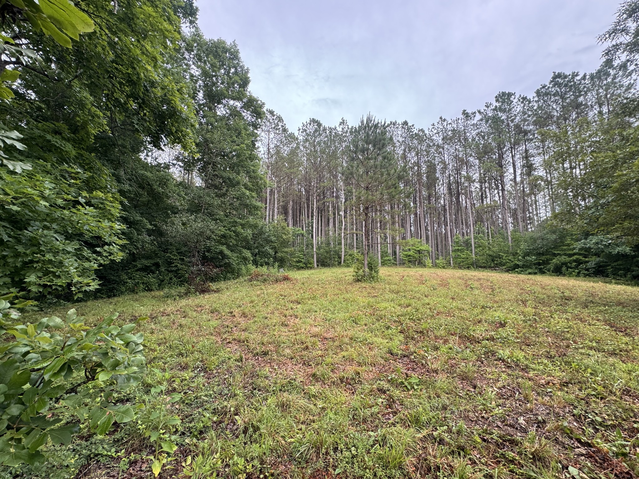 0 Johnson Hollow Road Stewart, TN 37175 - Photo 2 of 10