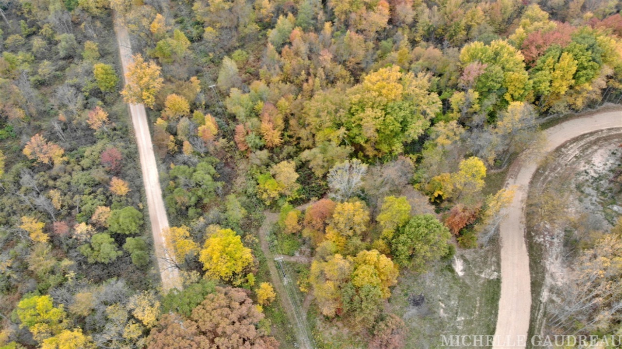 North N Ridge, Unit PARCEL 1 Middleville, MI 49333 - Photo 3 of 9