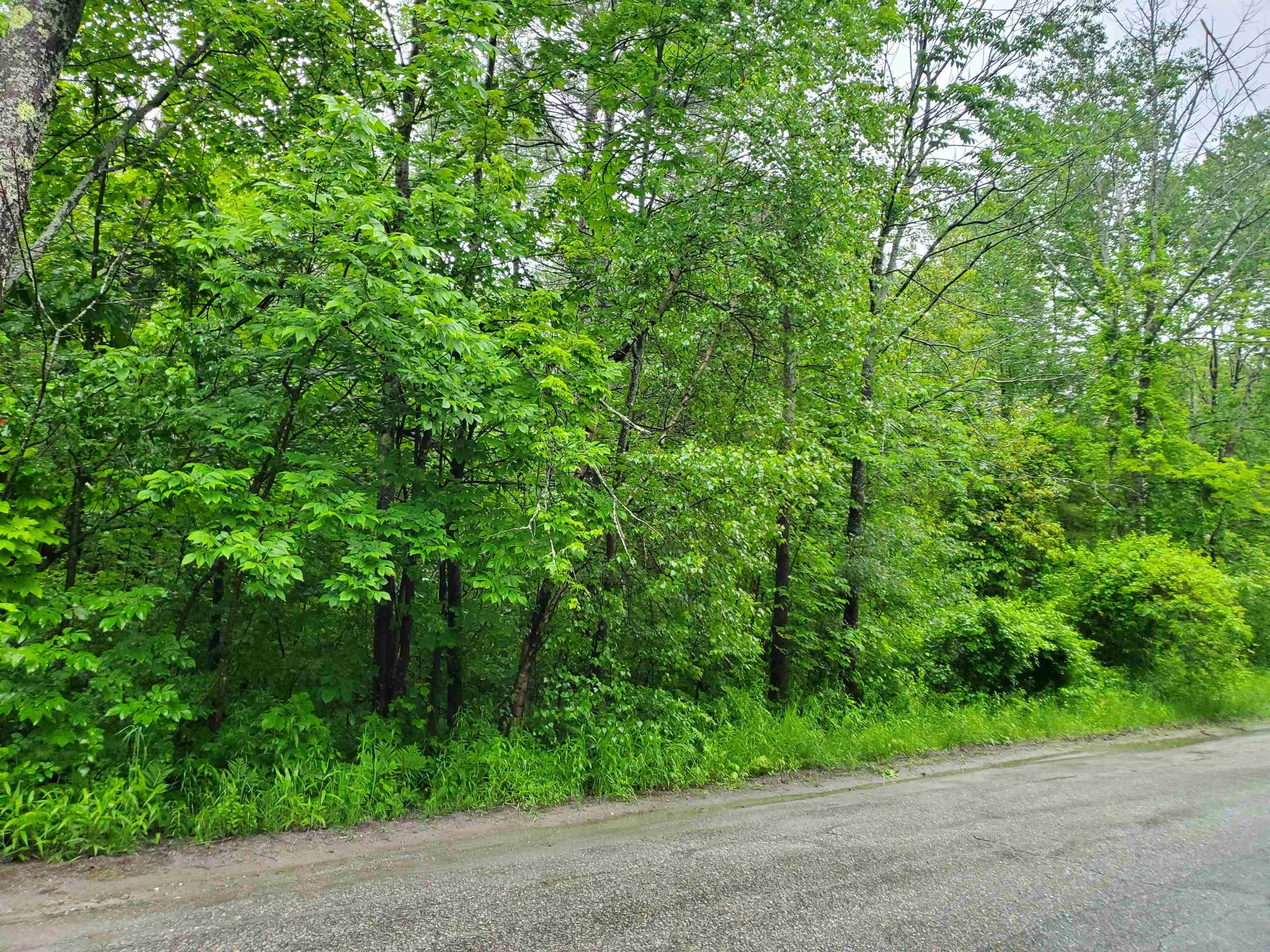 0 Ryder Corner Road Sunapee, NH 03782 - Photo 4 of 35