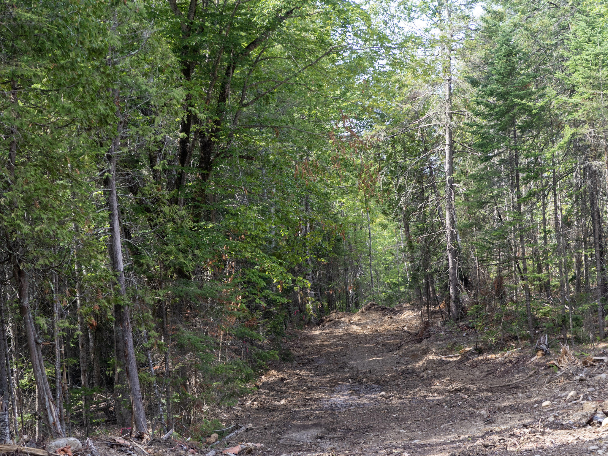 163 East Gulch Road Thorndike, ME 04986 - Photo 18 of 19 IMG_2183
