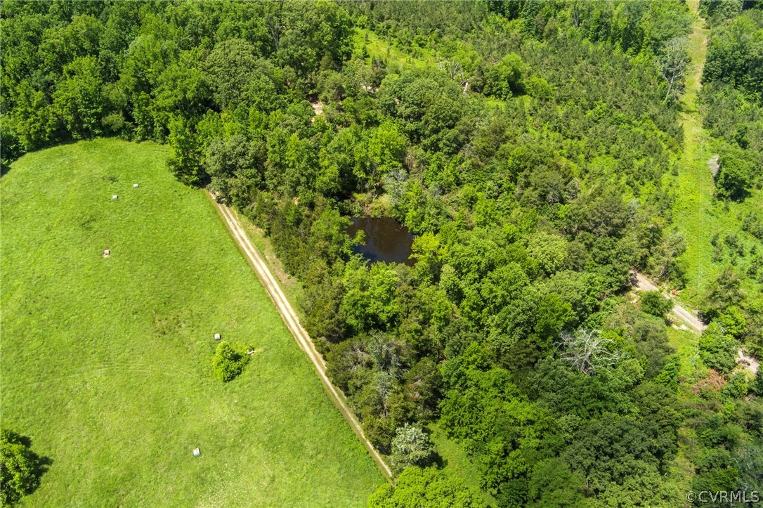 72 Island Road Cartersville, VA 23027 - Photo 26 of 29 Spring-fed pond