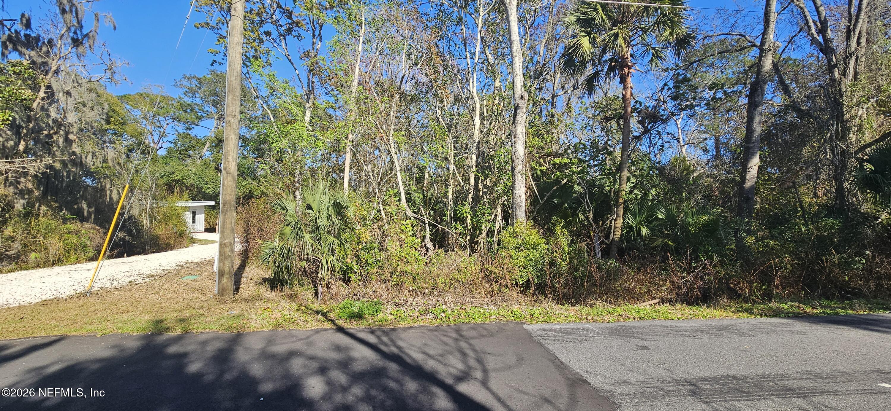 1030 Francis Street St. Augustine, FL 32084 - Photo 1 of 10 a view of a backyard of the house