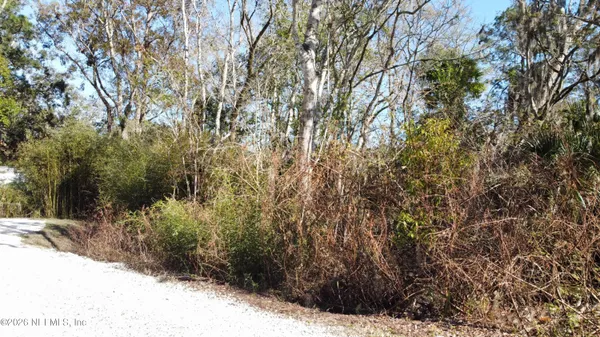 a view of a yard with a tree
