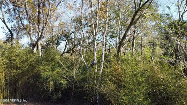 a view of a yard with a tree