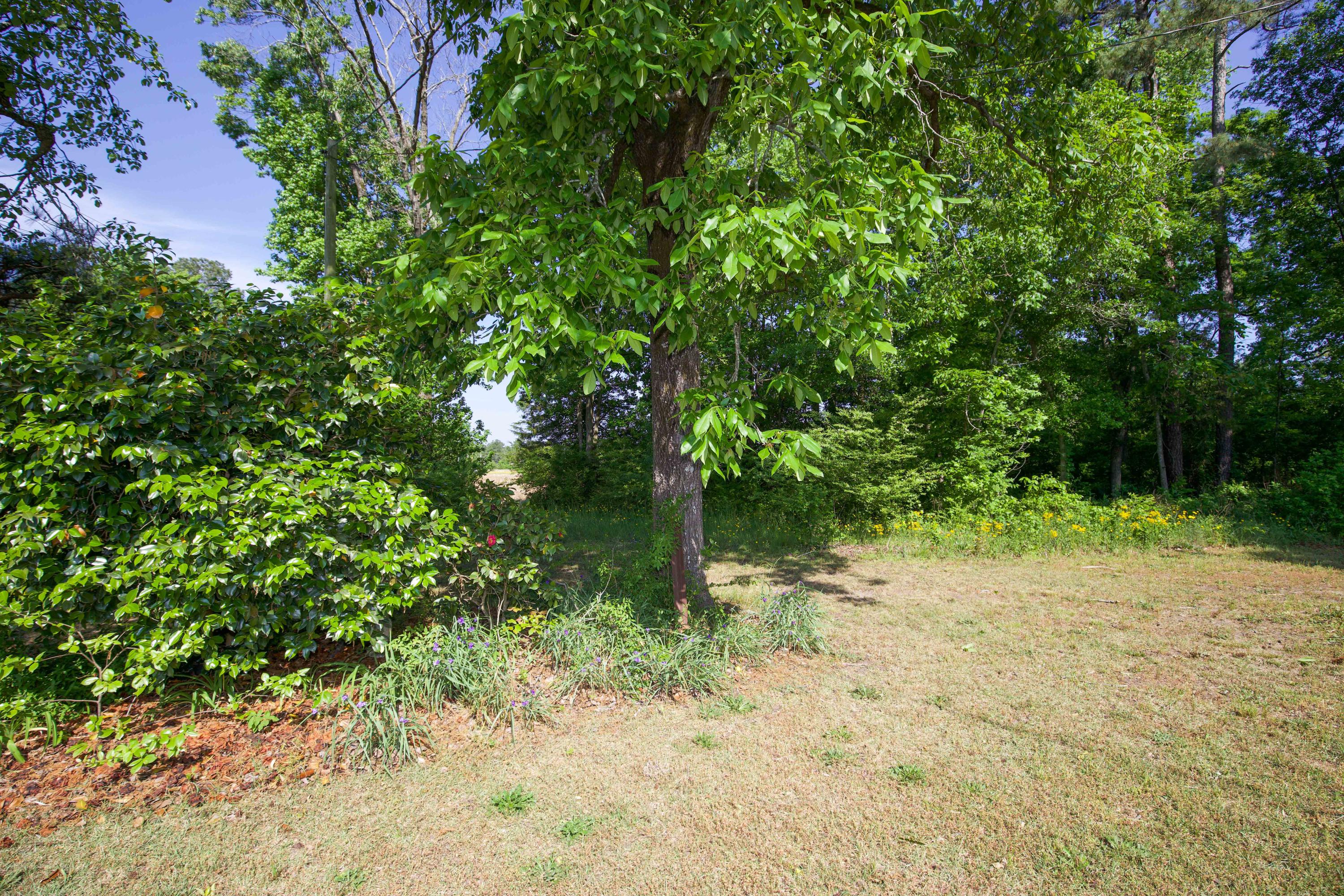 3453 John Wells Road Hinesville, GA 31313 - Photo 34 of 43 1592 Red Hill Rd-4