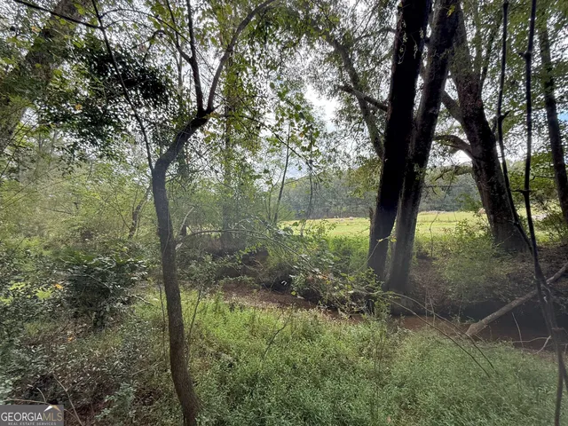 $232,000 | 9990 Jefferson River Road, Athens, GA 30607