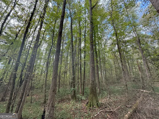 $232,000 | 9990 Jefferson River Road, Athens, GA 30607