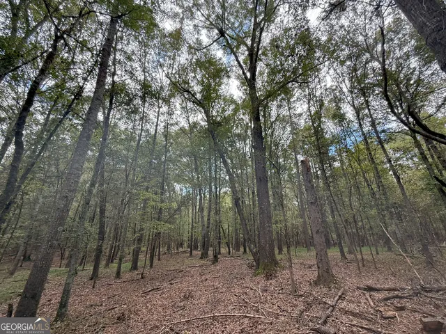 $232,000 | 9990 Jefferson River Road, Athens, GA 30607