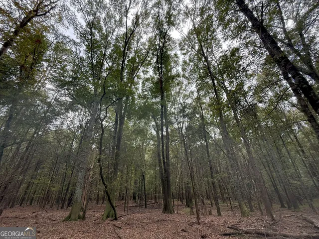 $232,000 | 9990 Jefferson River Road, Athens, GA 30607