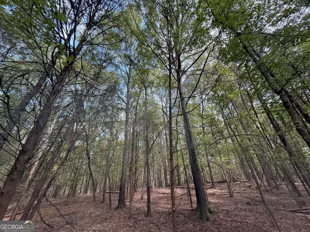 $232,000 | 9990 Jefferson River Road, Athens, GA 30607