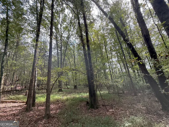 $232,000 | 9990 Jefferson River Road, Athens, GA 30607