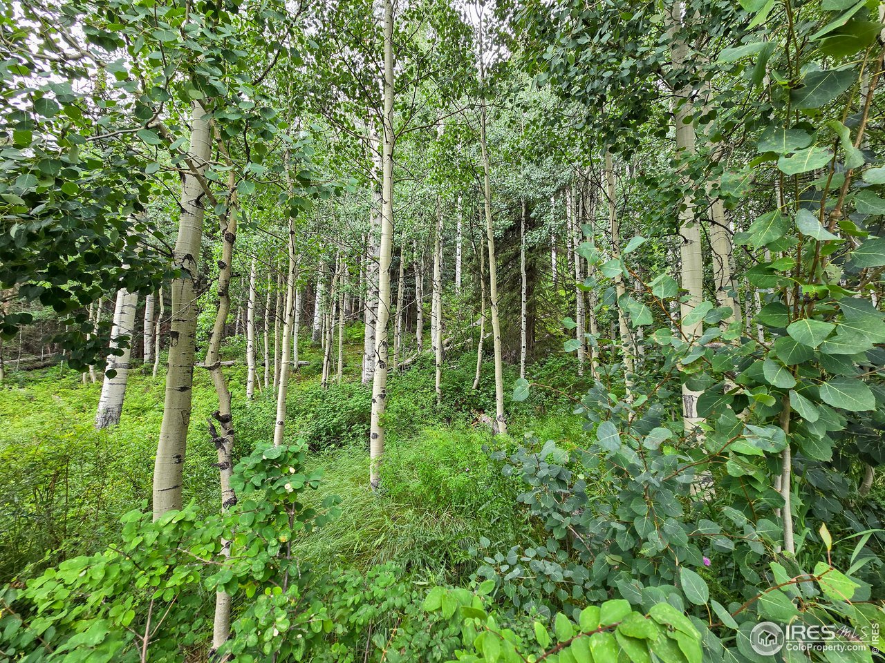 49 Meadow Road Durango, CO 81301 - Photo 10 of 26