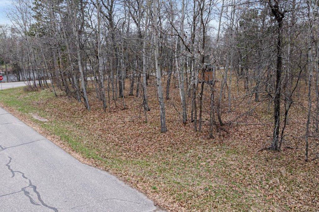 34-xxx Lot 2 Happy Landing Road Crosslake, MN 56442 - Photo 20 of 21