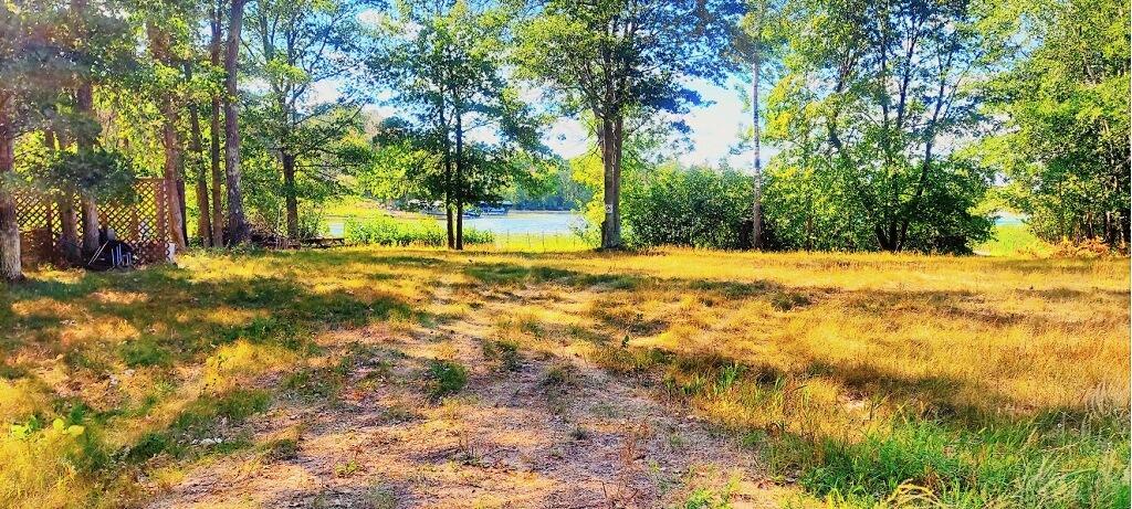 34-xxx Lot 2 Happy Landing Road Crosslake, MN 56442 - Photo 3 of 21