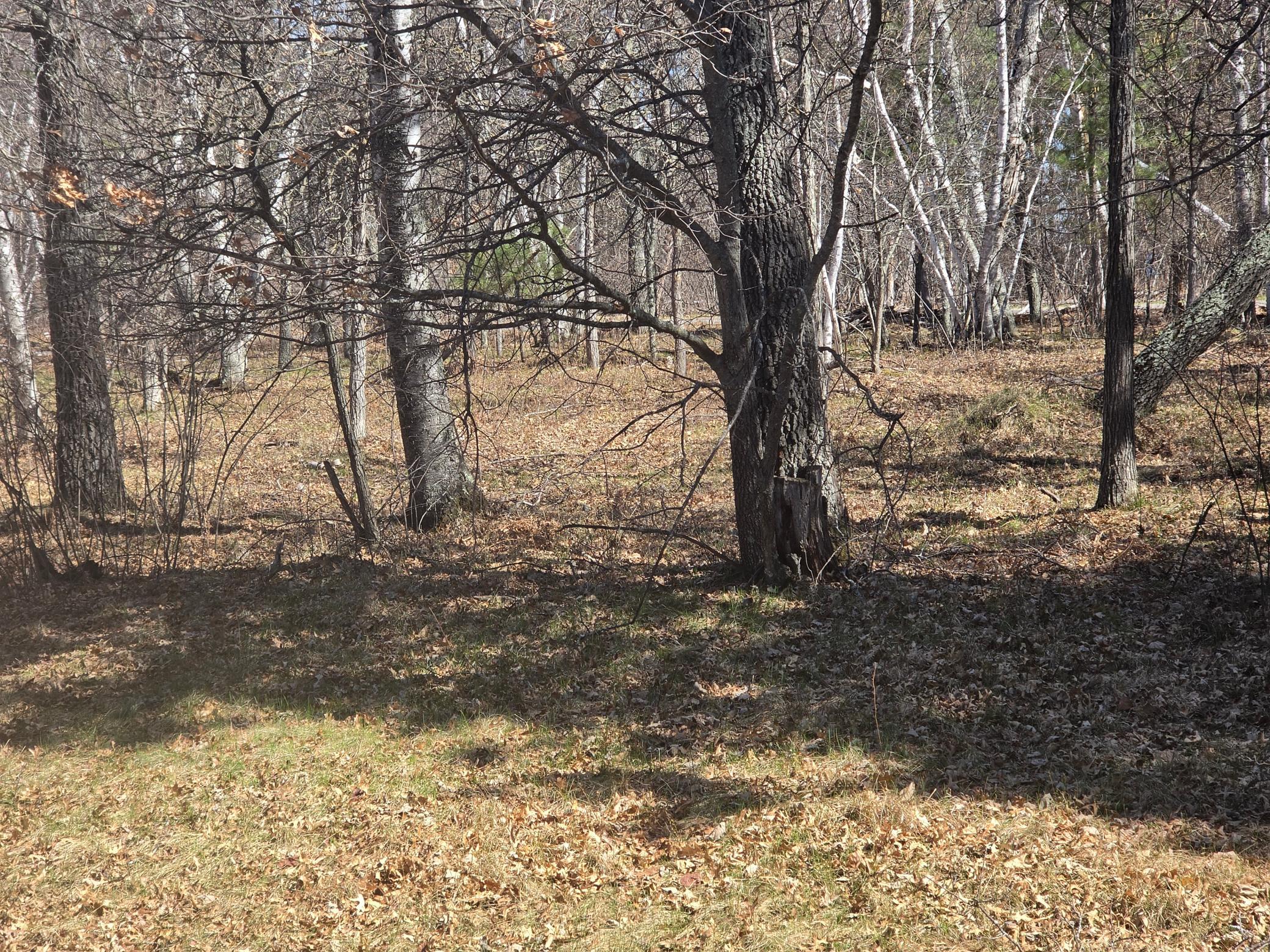 34-xxx Lot 2 Happy Landing Road Crosslake, MN 56442 - Photo 10 of 21