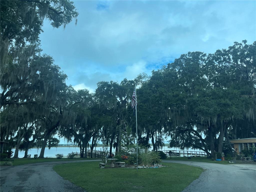 a view of a park with large trees