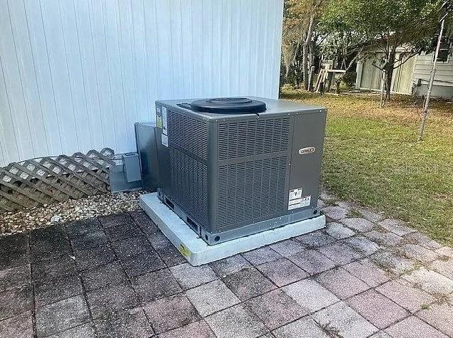 25225 Northeast 139th Street Salt Springs, FL 32134 - Photo 11 of 14 a view of a backyard