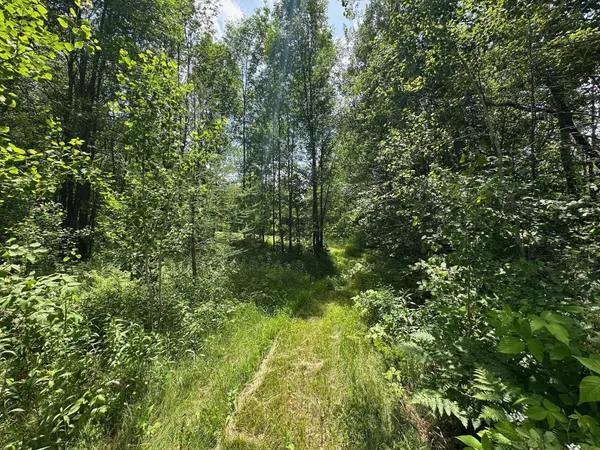 $287,000 | Tbd Tbd Tamarac Road, Onamia, MN 56359