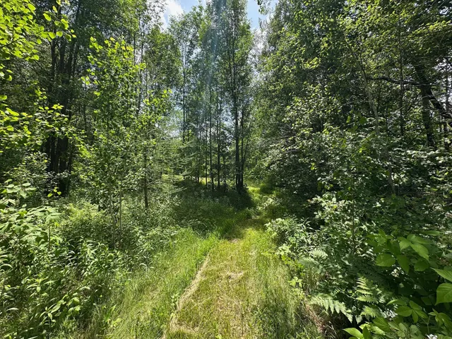 $287,000 | Tbd Tbd Tamarac Road, Onamia, MN 56359