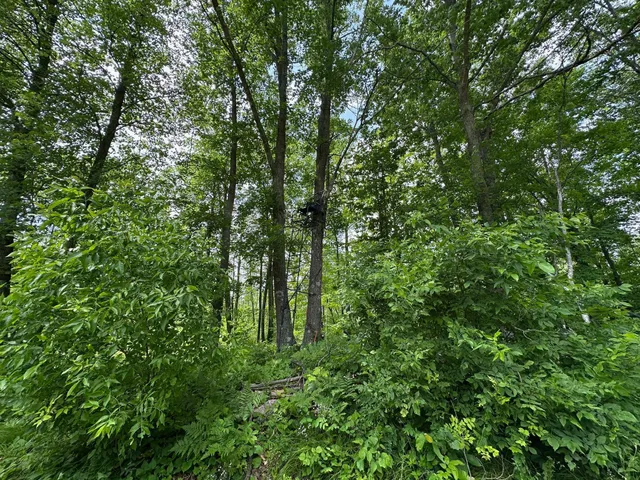 $287,000 | Tbd Tbd Tamarac Road, Onamia, MN 56359
