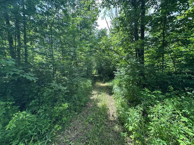 $287,000 | Tbd Tbd Tamarac Road, Onamia, MN 56359