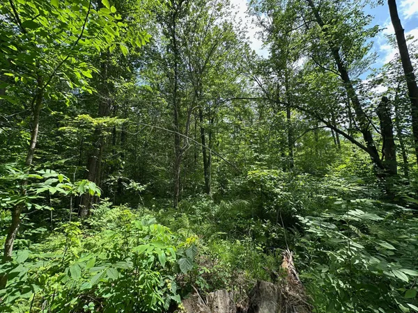 $287,000 | Tbd Tbd Tamarac Road, Onamia, MN 56359