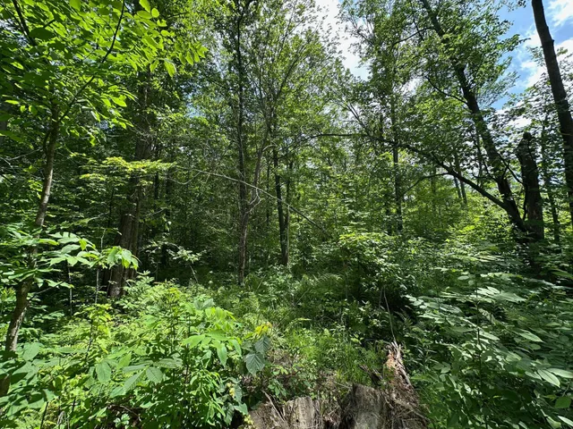 $287,000 | Tbd Tbd Tamarac Road, Onamia, MN 56359