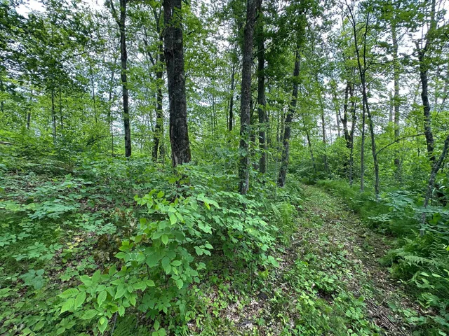 $287,000 | Tbd Tbd Tamarac Road, Onamia, MN 56359